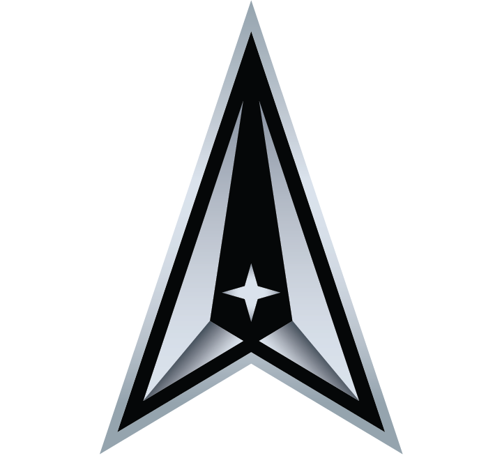 Space Force logo